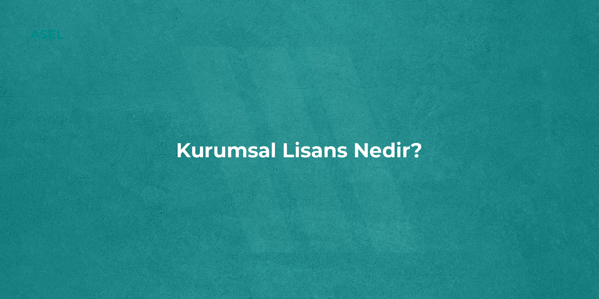 Kurumsal Lisans Nedir?